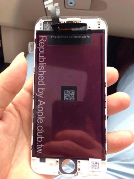 iPhone 6